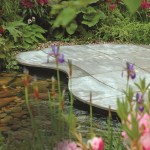 Organicstone Bean Collection - 2