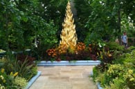 Chelsea 2011 - News 1