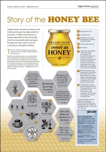 Organicstone Beehive Magazine Page 3