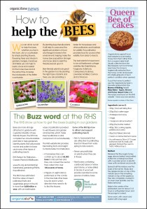Organicstone Beehive Magazine Page 8