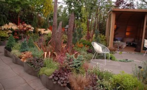 Organicstone - Chelsea 06 - 1