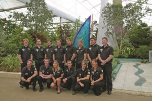 Organicstone - Chelsea 08 - Sail for Gold 8